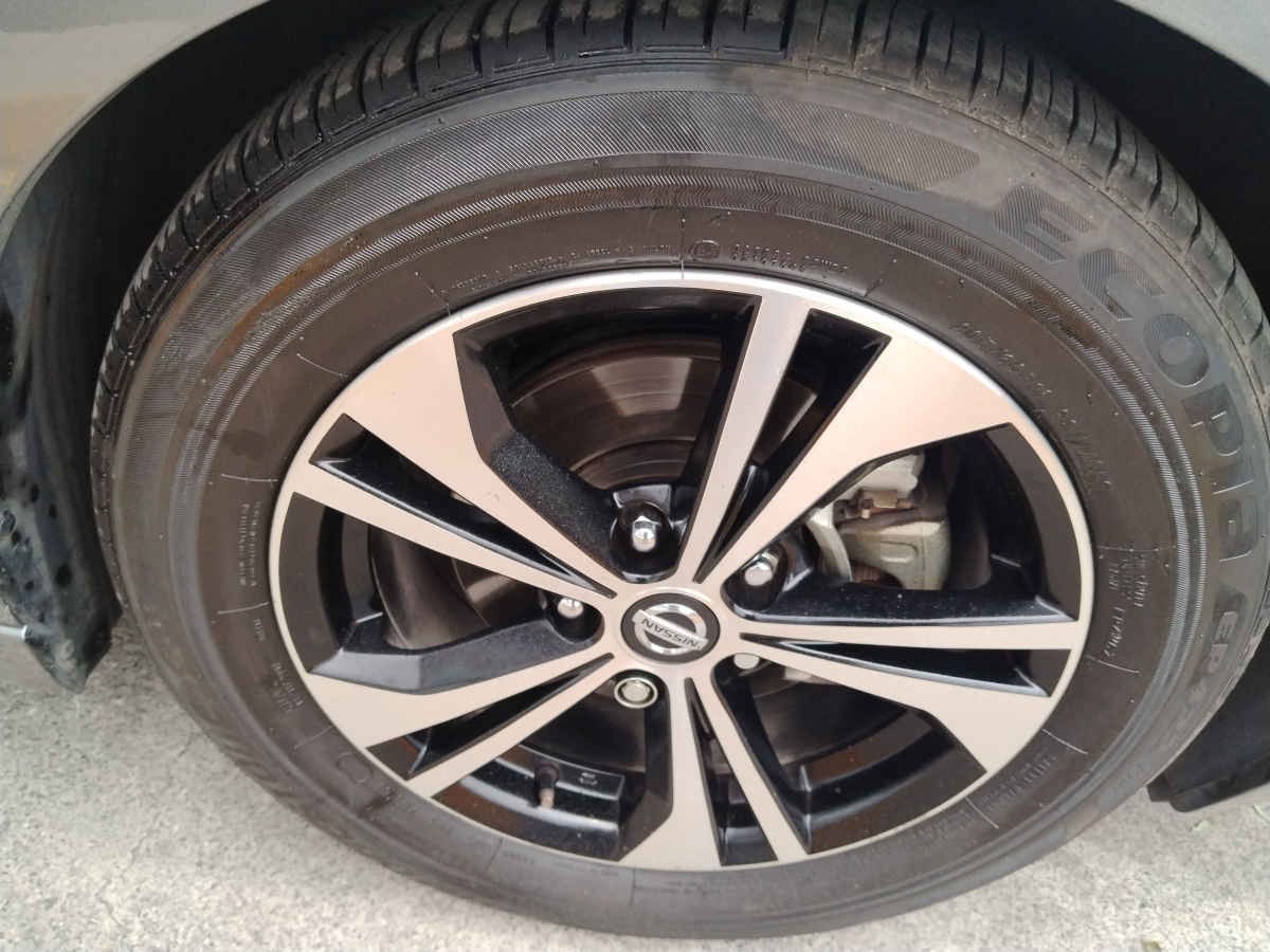 Banner 18